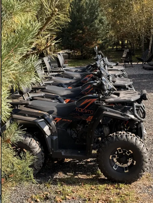 Квадроциклы Taesta в ряд