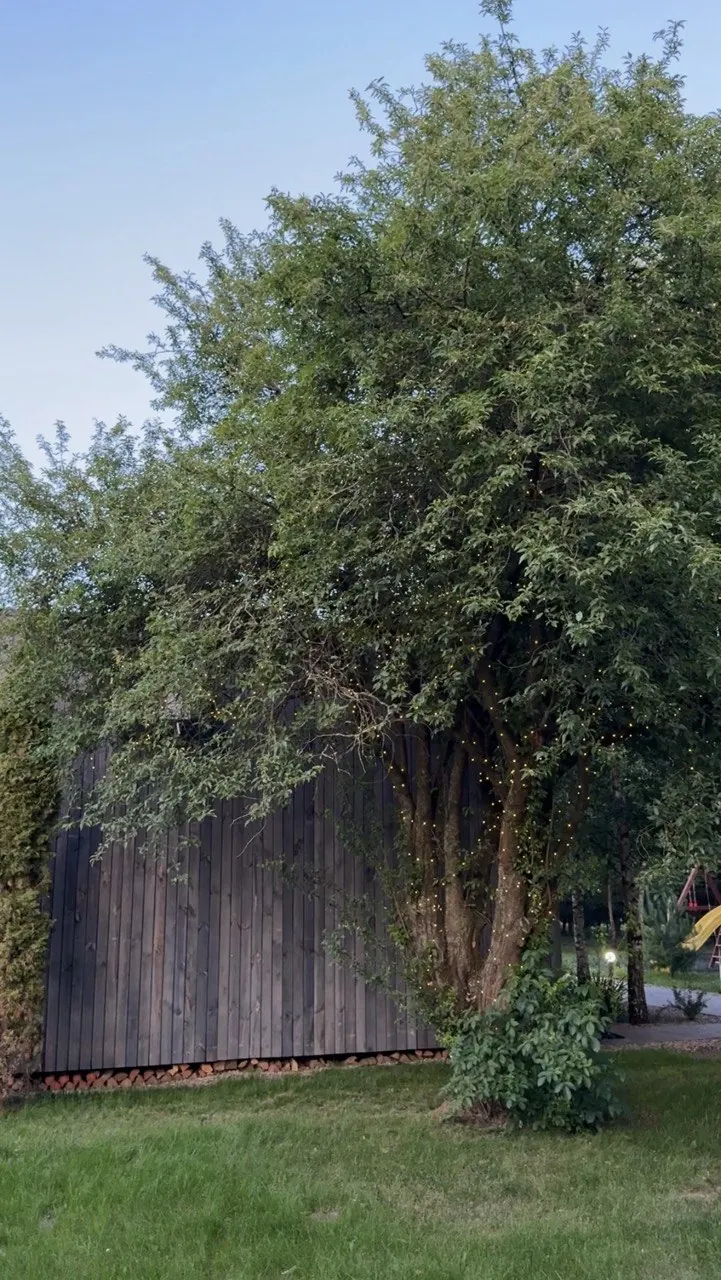 Загородные домики вечером — корпоратив на природе под Брестом