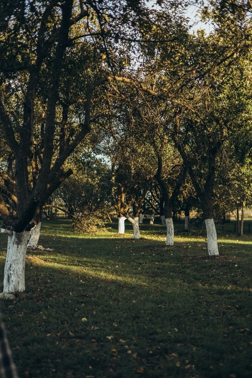 Загородный домик в саду — Village DREWNO под Брестом